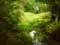 River, brook, stream example Lappersfort forest