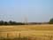 Landscape example Dead lonely tree on field