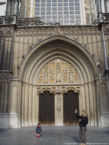 Onze-Lieve-Vrouw-Kathedraal ANTWERPEN 1 (centrum) / ANTWERPEN foto Het zuiderportaal
