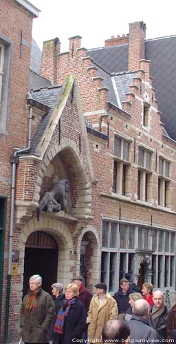 The Black Panther - Saint Julian's Guesthouse ANTWERP 1 / ANTWERP picture e