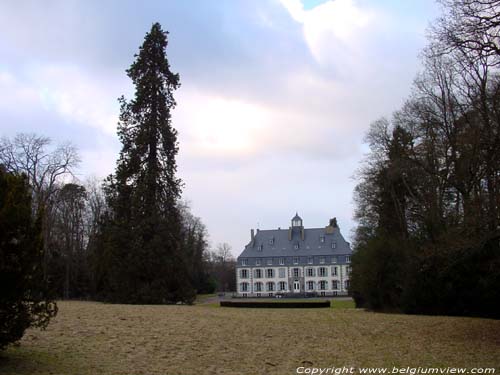 Vonche castle (in Vonche) BEAURAING picture 