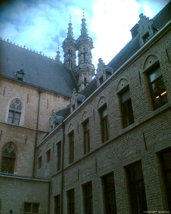 Townhall  LEUVEN picture Backside