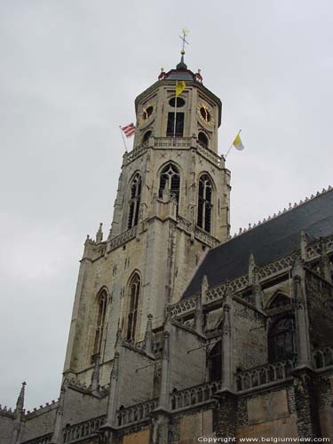 Sint-Gummaruskerk LIER foto Toren uit zuidoosten