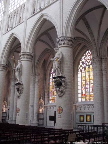 Sint-Michielskathedraal (Sint-Michiels en Sinte-Goedele) BRUSSEL-STAD / BRUSSEL foto Zicht pilasters