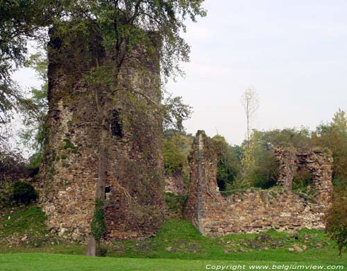 Kasteel en donjon van Walhain (te Walhain-Saint-Paul) WALHAIN foto Toren en muurresten