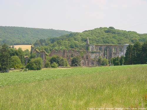 Ruins of Aulne's abbey (in Gozee) THUIN picture 