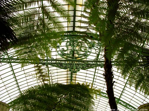 Royal Greenhouses LAKEN / BRUSSEL picture 