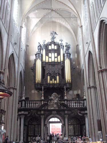 Sint-Salvatorskathedraal BRUGGE foto Het orgel werd van 1619 tot 1717 gebouwd