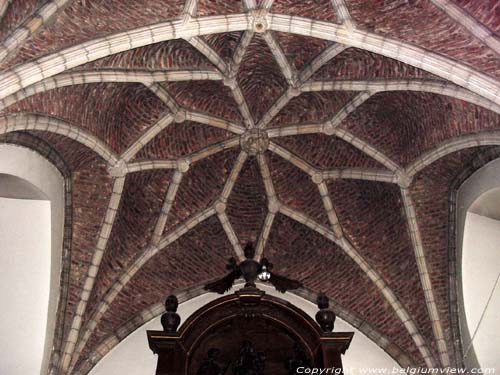 Johannes-de Doperkerk HERVE foto  Prachtig stergewelf