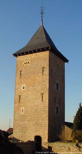 Kasteel in Ordingen SINT-TRUIDEN foto De nu alleenstaande westelijke toren (die o.a. als duiventoren dienst deed).