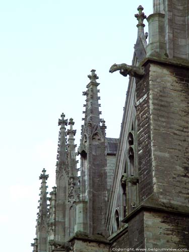 Sint-Romboutskathedraal MECHELEN foto 