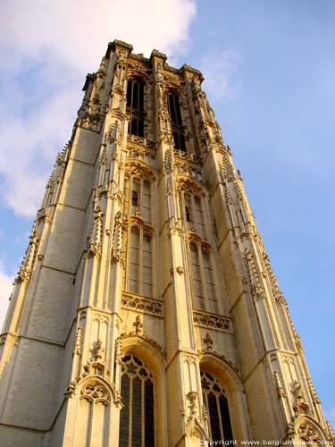 Cathédrale Saint-Rombout MECHELEN / MALINES photo 