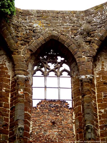 Ruins of the Saint-John's church DIEST picture 