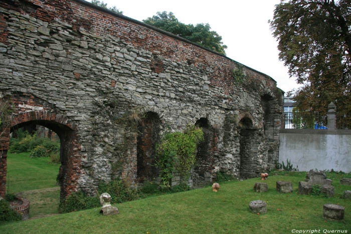 Ruïnes Sint-Baafsabdij GENT foto 