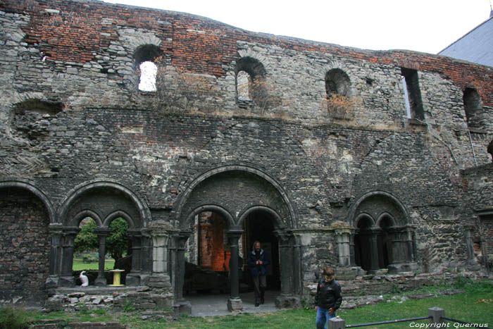 Ruïnes Sint-Baafsabdij GENT foto 