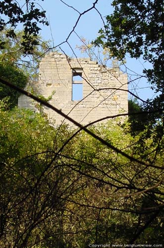 Ruins of the Kolmont castle (in Overrepen) TONGEREN picture 