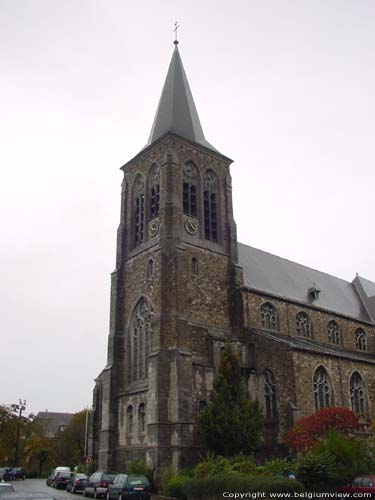 Dekenale Sint-Martinuskerk VISE / WEZET foto 