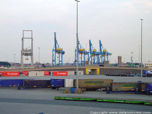 Container cranes ZEEBRUGGE / BRUGGE picture 