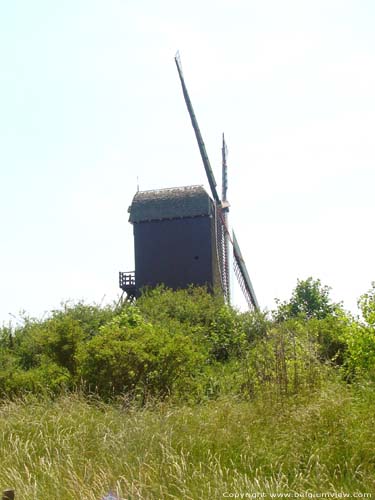 South dunes mill - South abbey mill KOKSIJDE picture 
