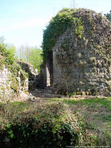 Ruins of Poilvache (in Evrehailles) YVOIR picture 