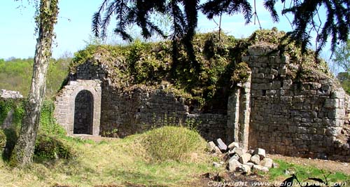 Ruines de Poilvache ( Evrehailles) NAMUR / YVOIR photo 