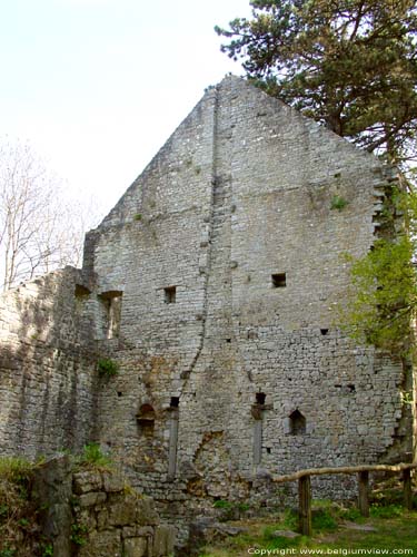 Ruines de Poilvache ( Evrehailles) NAMUR / YVOIR photo 