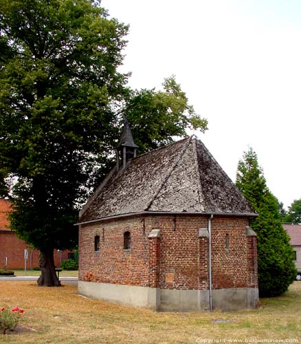 Sint-Catharinakapel (te Lillo) HOUTHALEN-HELCHTEREN foto De barokke kapel bevat een dakruitertje met daarin een klok. Voor de kapel staan twee lindebomen.