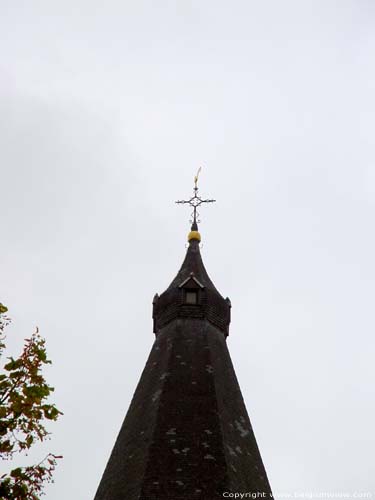 Sint-Trudokerk PEER foto Torenspits met vergulde peer.