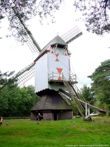 Windmill of Sevens OVERPELT picture 