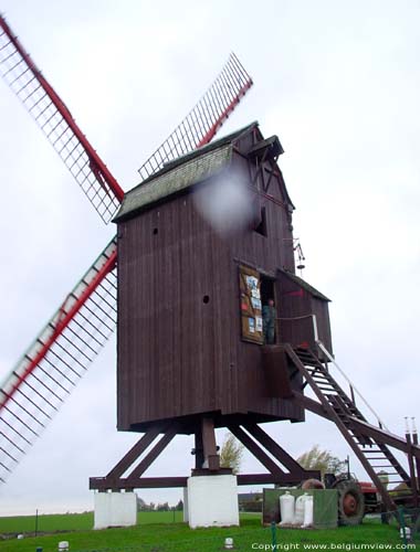 Poolmountainmill TIELT picture 