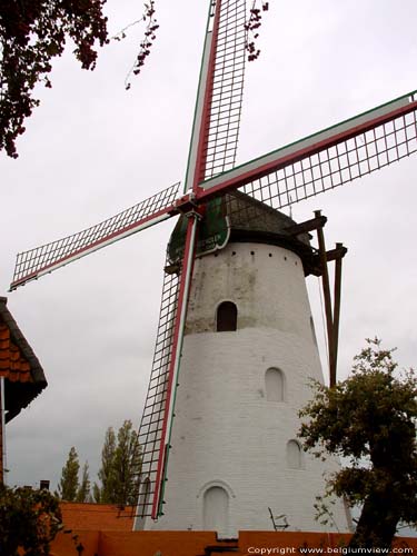 Rysselende Mill PITTEM picture 
