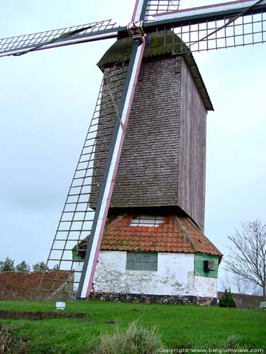 Pietendries mill KNESSELARE picture 