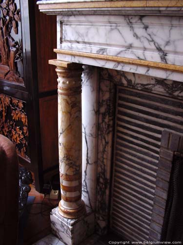 Eerste eigen Woonhuis Dierkens GENT foto Zuil van de uit Frankrijk geïmporteerde marmeren schoorsteenmantel in Louis XVI stijl.