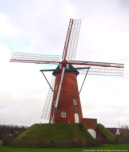 Oude windmolen RANST foto 