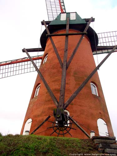 Oude windmolen RANST foto 