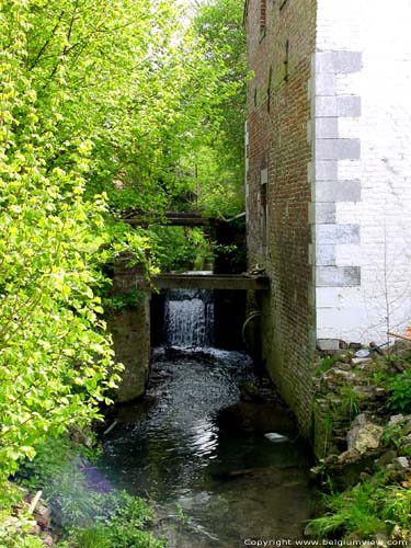Old Corn Watermill WALSHOUTEM / LANDEN picture 