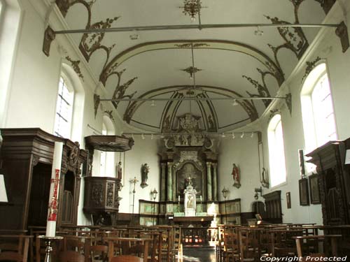 Sint-Janskerk (te Sint-Jan-in-Eremo) SINT-JAN-IN-EREMO / SINT-LAUREINS foto Rococo interieur in éénbeukige kerk (foto door Jean-Pierre Pottelancie)