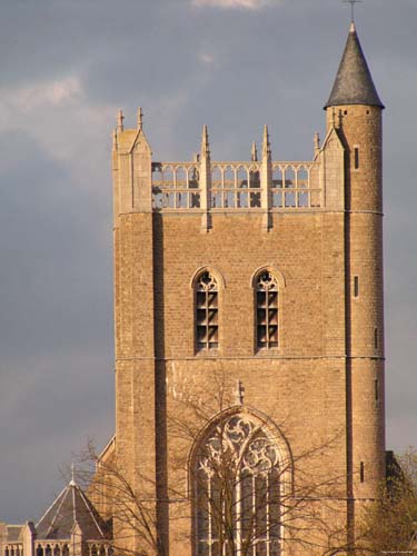Institute of the Ursulines (in Onze-Lieve-Vrouw-Waver ) ONZE-LIEVE-VROUW-WAVER / SINT-KATELIJNE-WAVER picture neogothic churchtower