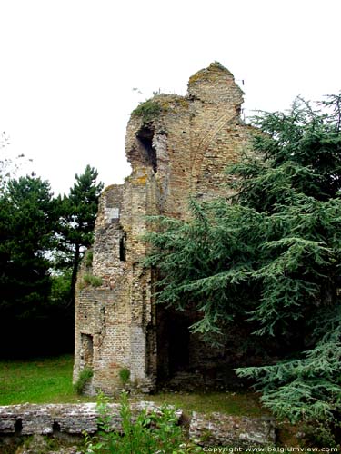 Ruins of Saint-Laurence Tower or Pideon's Tower NIEUWPOORT picture 