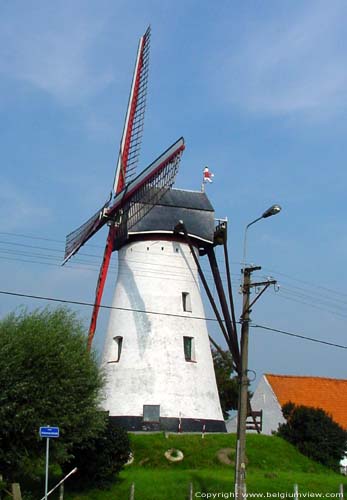 Artemeers Mill (between Poeke and Kanegem) AALTER picture 