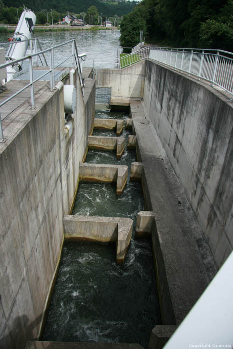 Ecluse et escalier  poisson sur la Meuse NAMUR / HASTIERE photo 