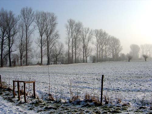 Winterlandschap OORBEEK / TIENEN foto 