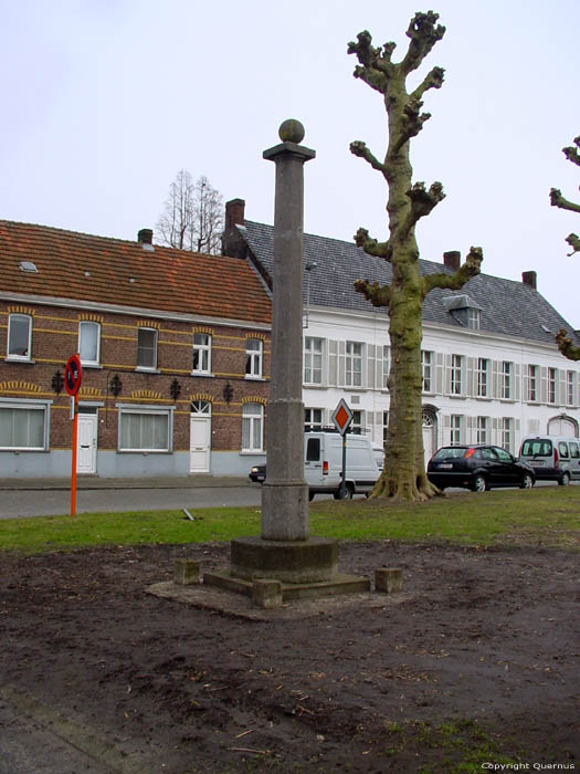 Pillory ENAME / OUDENAARDE picture 