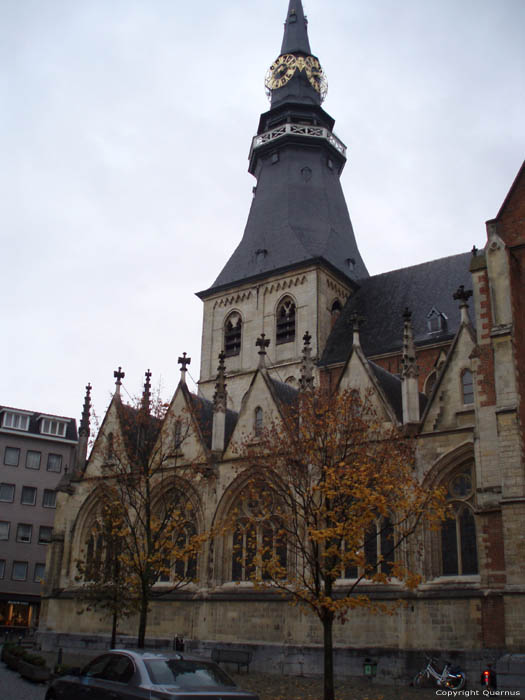 Saint Quintin's cathedral HASSELT picture 