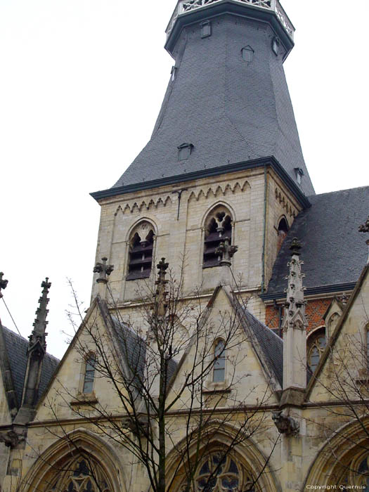 Cathédrale Saint-Quintin HASSELT photo 