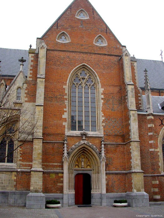 Sint-Quintinuskathedraal HASSELT foto 