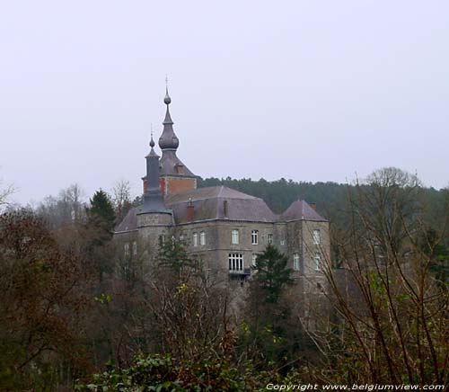 Vierves' Castle Vierves-sur-Viroin / VIROINVAL picture 