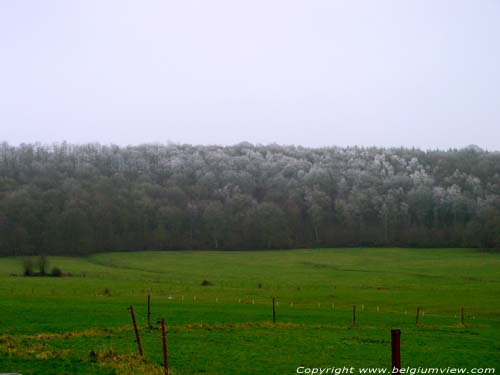 Paysage avec arbres gelees Vierves-sur-Viroin / VIROINVAL photo 