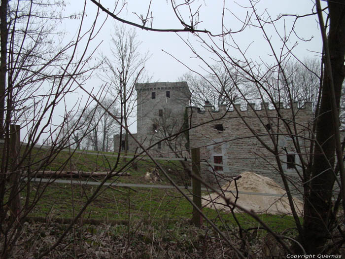 Alsemberg Castle (in Moresnet) PLOMBIERES picture 
