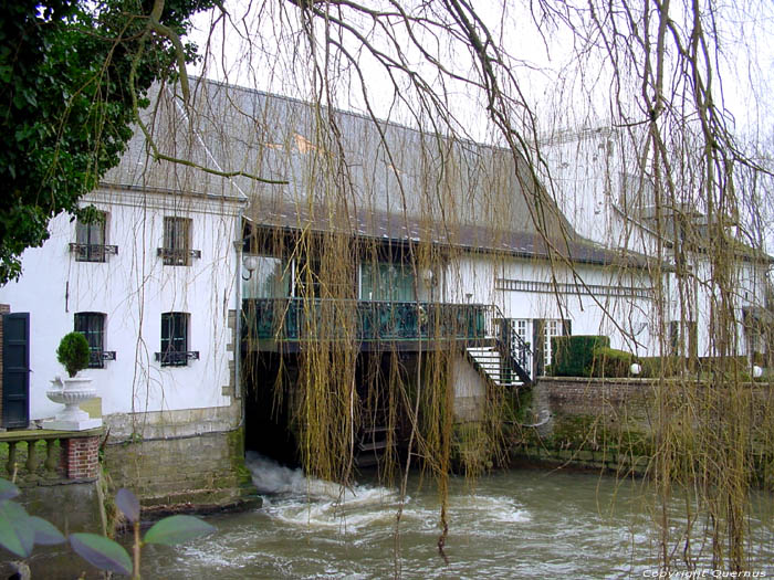 Moulin de Belle ( Teralfene) AFFLIGEM photo 